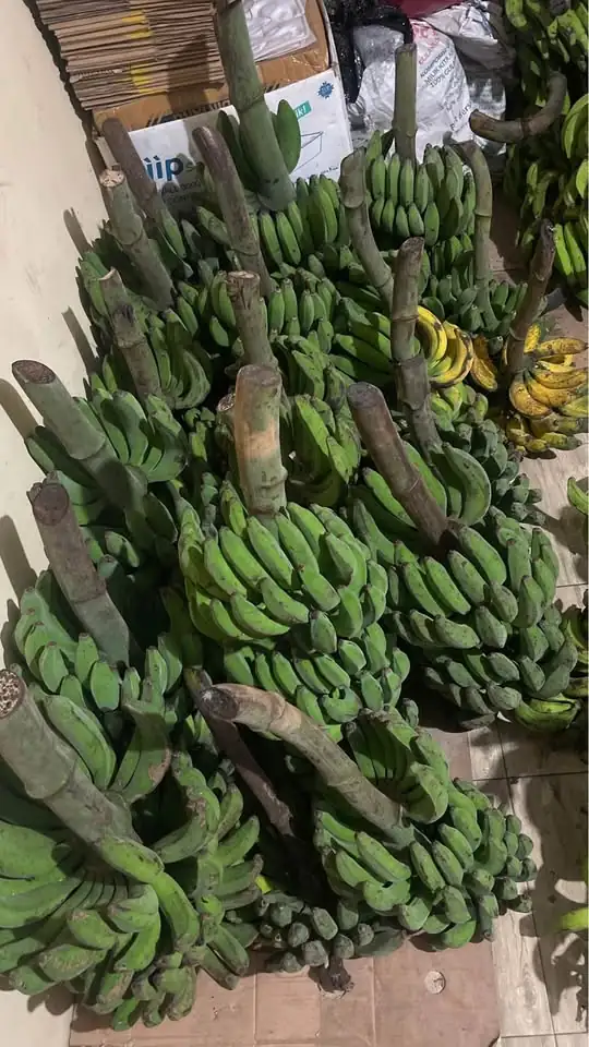 Pisang 20rb An pertundun