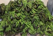 Pisang 20rb An pertundun