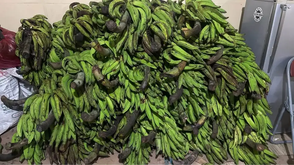 Pisang 20rb An pertundun