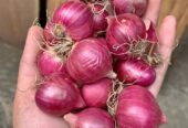bawang merah bima pilihan (BUKAN CARUK)