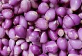 Bawang merah kupas