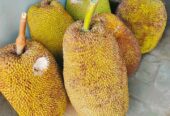 Nangka madu dan nangka lokal manis