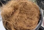 Serat Sabut Kelapa Coco Fiber untuk Media Tanam