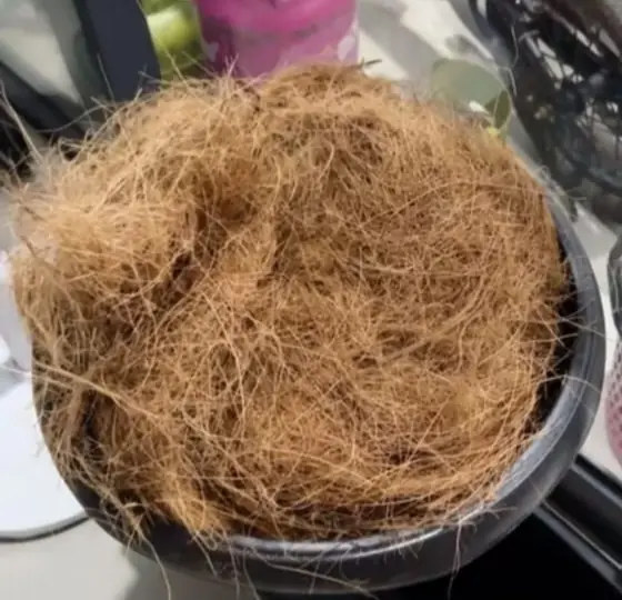 Serat Sabut Kelapa Coco Fiber untuk Media Tanam