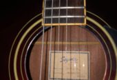 Gitar Segovia D07