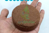 Cocopeat Disk Semai Praktis Solusi Ideal untuk Kebun Impian Anda