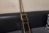 gitar yamaha apx500