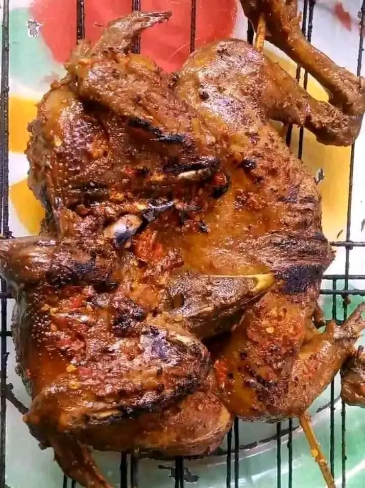 Ater ater ayam utuh / Separo , ada bakar, bacem , kremes dan srundeng