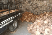 Jual Buah Kelapa Ecer