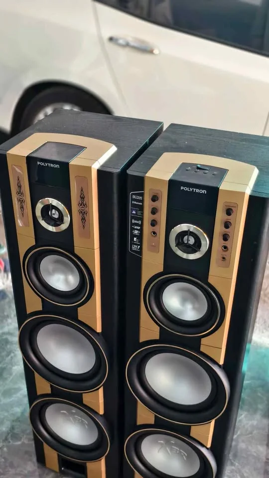 Speaker Polytron pas 69 mlulus like new segel