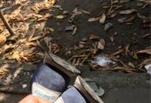 Di jual sepatu NB