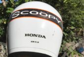 Helm scoopy