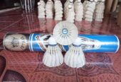 Gitar yamaha apx custom