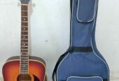 Jual Gitar akustik elektrik segovia seri D07 G -TS