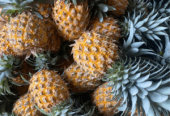 Nanas madu pemalang