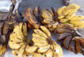 Pisang susu, koja manis