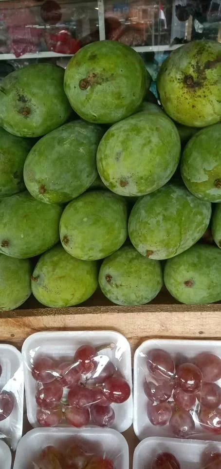 mangga rujak mangga tua pohon