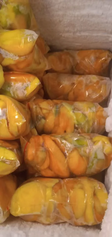 mangga rujak mangga tua pohon