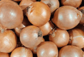 Serba bawang kirim langsung