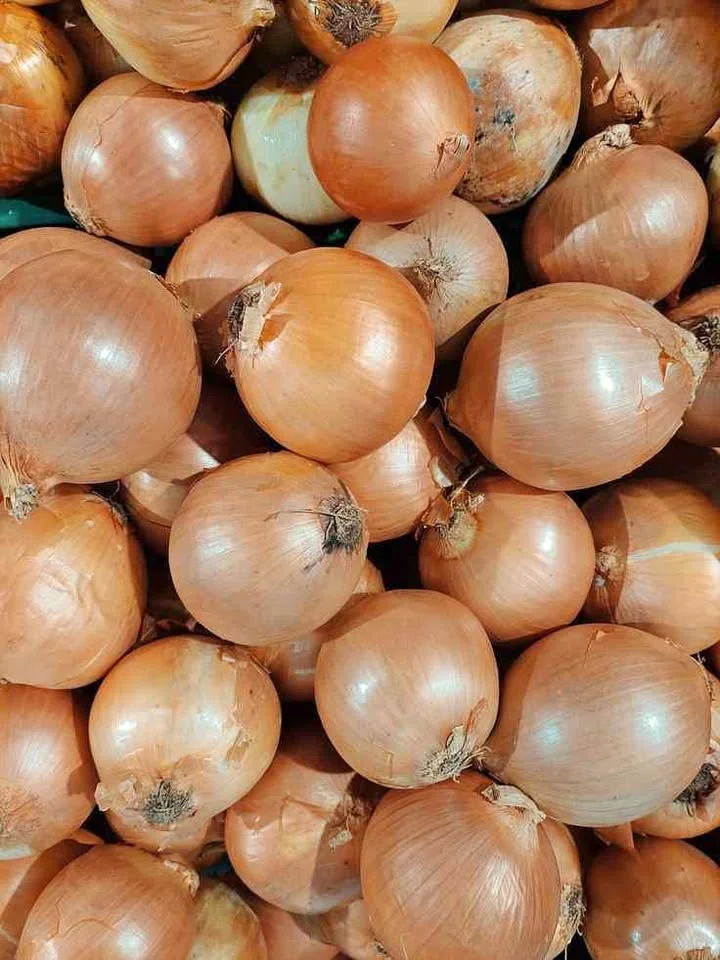 Serba bawang kirim langsung