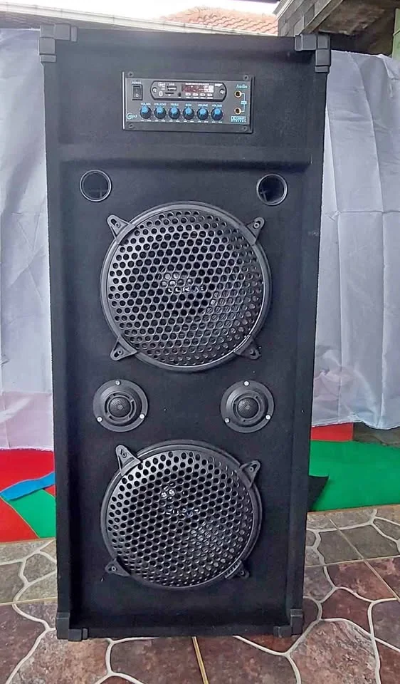 Speaker 10inch double subwoofer