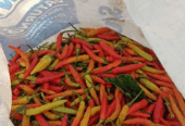 Redy cabe setan harga 20