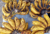 Jual Pisang Susu Sleman Segar