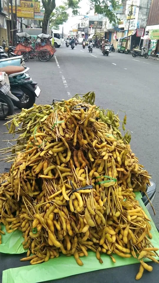 Jual Dele mentah dan Mateng Edamame