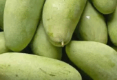 Jual Mangga GOlek Fresh
