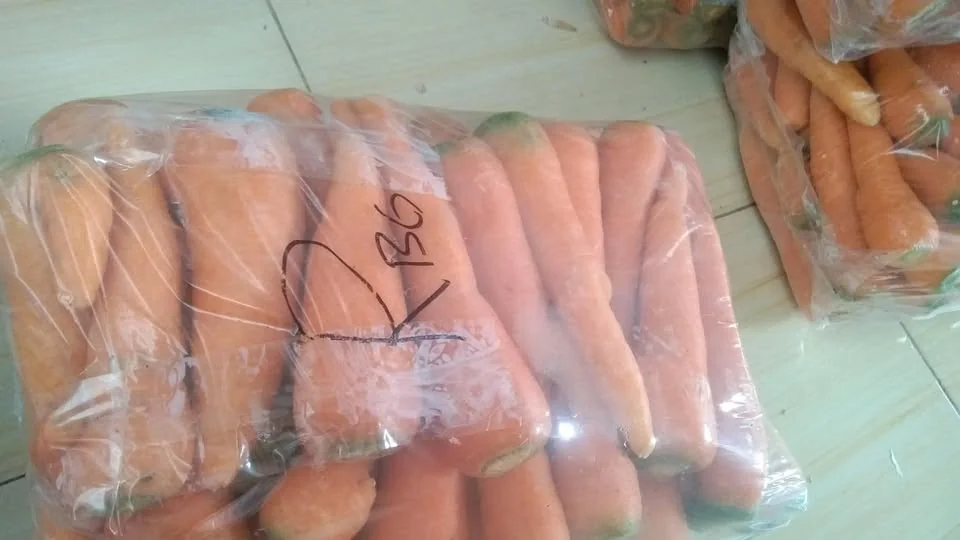 Wortel rijek fresh