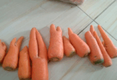 Wortel rijek fresh
