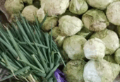 Kubis Fresh Pekalongan