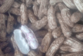 Kacang madu asli monggo