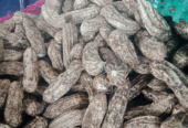 Kacang madu asli monggo
