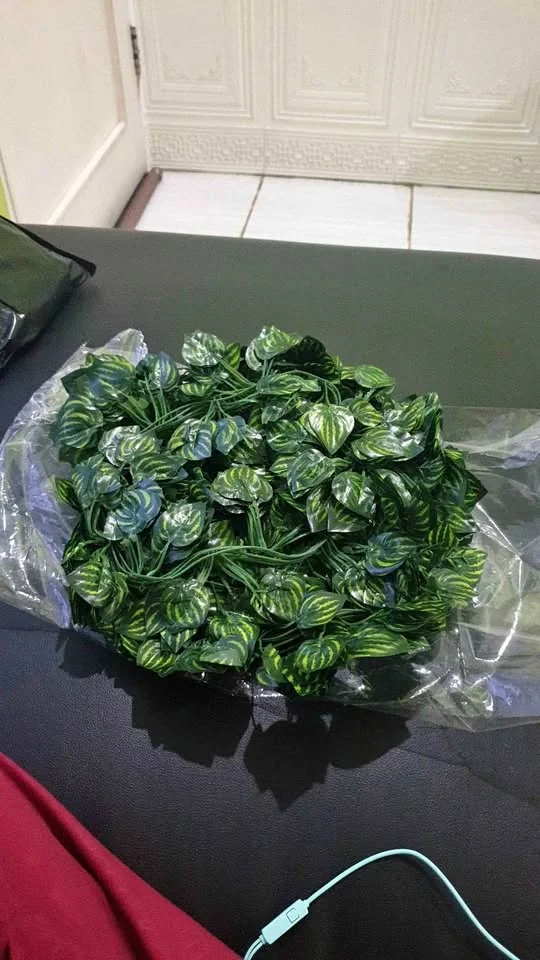 Jual Daun rambat Daun semangka Panjang 2 meter