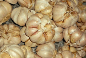 Bawang sinco tuo² monggo