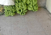 Macam2 pisang ready