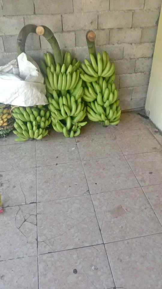 Macam2 pisang ready