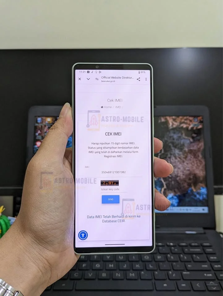 Sony Xperia 1 Mark IV 12/256GB Beacukai