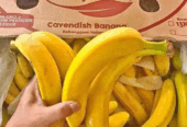 Pisang cavendish dan emas