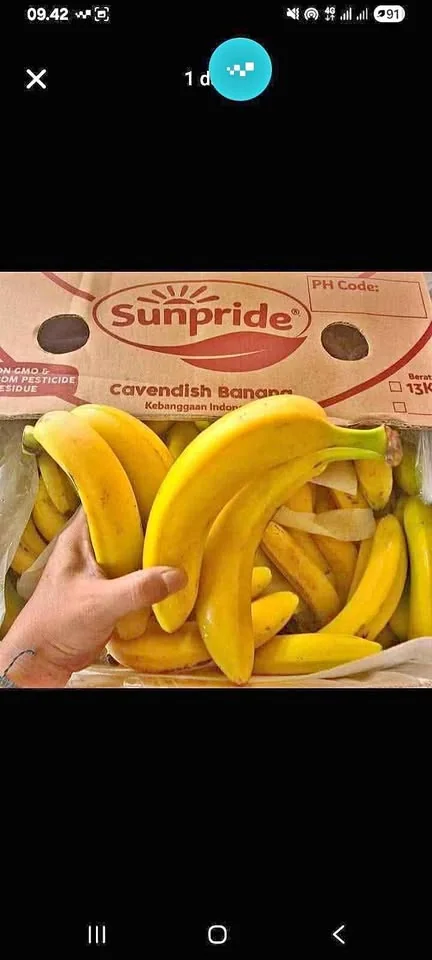 Pisang cavendish dan emas
