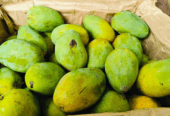 Mangga Arum manis