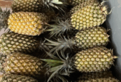 Buah Nanas Potong/utuhan Ready Setiap Hari