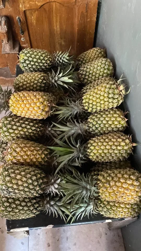 Buah Nanas Potong/utuhan Ready Setiap Hari