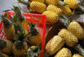 Buah Nanas Potong/utuhan Ready Setiap Hari