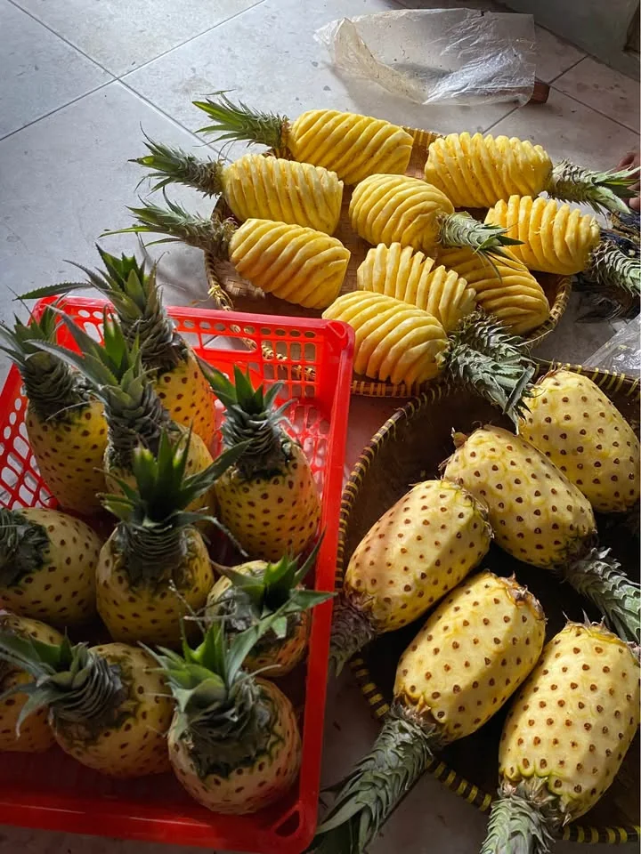 Buah Nanas Potong/utuhan Ready Setiap Hari