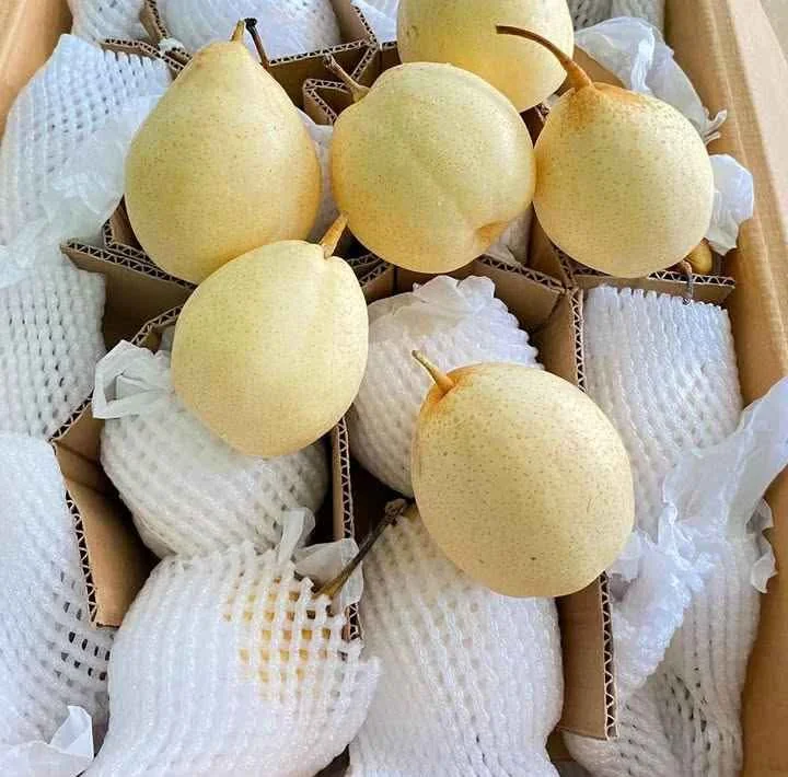 Jual Apel Fuji, pir, jamkris, edamame, matoa, kelengkeng