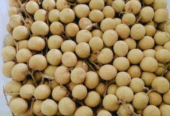 Jual Apel Fuji, pir, jamkris, edamame, matoa, kelengkeng