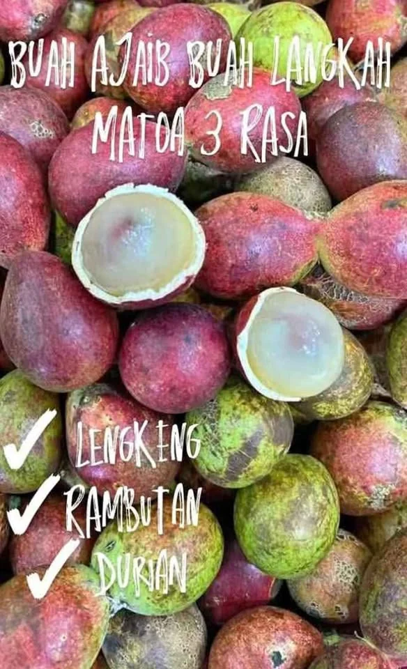 Jual Apel Fuji, pir, jamkris, edamame, matoa, kelengkeng