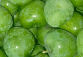 Jual Mangga apel muda